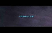 小狗贪睡怎么回事