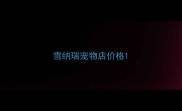 雪纳瑞宠物店价格