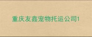 重庆友鑫宠物托运公司