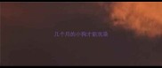 几个月的小狗才能洗澡