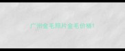 广州金毛照片金毛价格