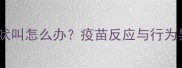 狗狗接种疫苗后持续吠叫怎么办疫苗反应与行为异常的科学应对指南