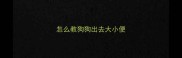 怎么教狗狗出去大小便
