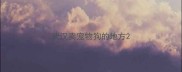武汉卖宠物狗的地方