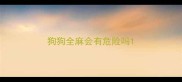 狗狗全麻会有危险吗