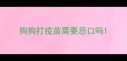 狗狗打疫苗需要忌口吗