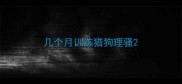 几个月训练猎狗理骚