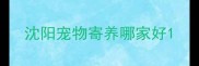沈阳宠物寄养哪家好