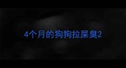 4个月的狗狗拉屎臭