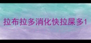 拉布拉多消化快拉屎多