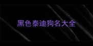 黑色泰迪狗名大全