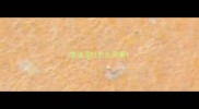 泰迪孕吐怎么回事