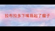 拉布拉多下嘴唇起了瘤子