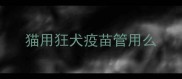 猫用狂犬疫苗管用么