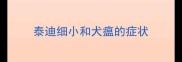 泰迪细小和犬瘟的症状