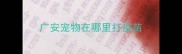 广安宠物在哪里打疫苗
