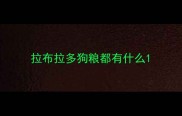 拉布拉多狗粮都有什么