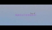 猫猫怎么打疫苗驱虫药