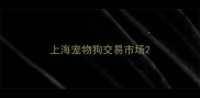 上海宠物狗交易市场
