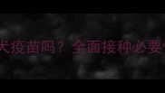 狗狗必须打狂犬疫苗吗全面接种必要性及注意事项