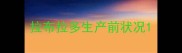 拉布拉多生产前状况
