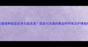 大猫接种疫苗后多久能洗澡疫苗与洗澡的黄金时间表及护理指南