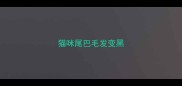 猫咪尾巴毛发变黑