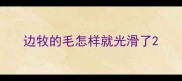 边牧的毛怎样就光滑了