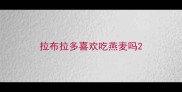 拉布拉多喜欢吃燕麦吗