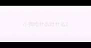 小狗吃什么吐什么