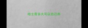 哈士奇多大可以自己养