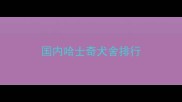 国内哈士奇犬舍排行