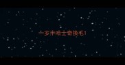 一岁半哈士奇换毛