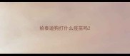 给泰迪狗打什么疫苗吗
