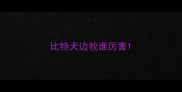 比特犬边牧谁厉害
