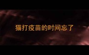 猫打疫苗的时间忘了