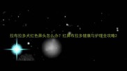 拉布拉多犬红色鼻头怎么办红鼻布拉多健康与护理全攻略
