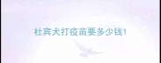杜宾犬打疫苗要多少钱
