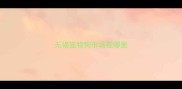 无锡宠物狗市场在哪里