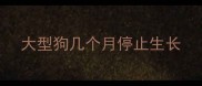大型狗几个月停止生长