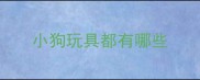 小狗玩具都有哪些
