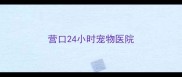 营口24小时宠物医院