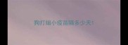狗打细小疫苗隔多少天