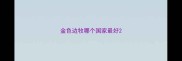 金色边牧哪个国家最好