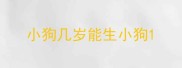 小狗几岁能生小狗