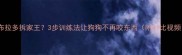 拉布拉多拆家王3步训练法让狗狗不再咬东西附对比视频