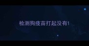 检测狗疫苗打起没有