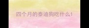 四个月的泰迪狗吃什么