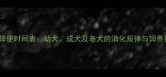 狗狗排便时间表幼犬成犬及老犬的消化规律与饲养指南