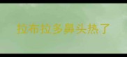 拉布拉多鼻头热了